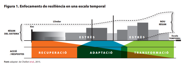 Figura 1_nota 308_cat