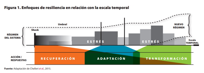 Figura_1_nota_308_Cast