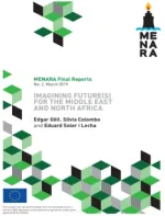 MENARA Final Report 2