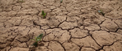 Noticia_El Sahel_Cascades